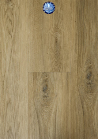 Last Chance Vinyl by Provenza