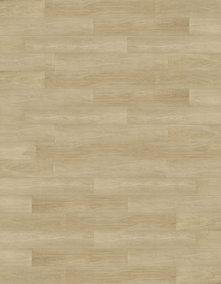 Lenox Vinyl by HF Design LLC