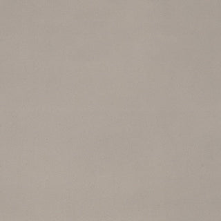 Light Gray Square Tile & Stone by American Olean