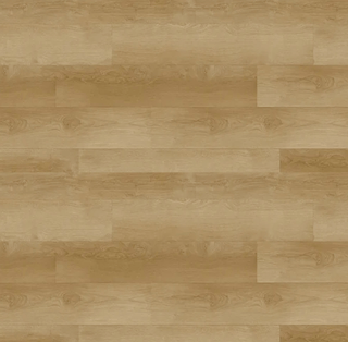 Light Thunder spc by Republic