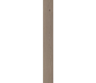 London Elm spc by COREtec