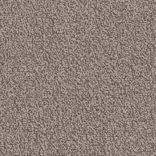 Loyal by Pentz Commercial Flooring Solutions