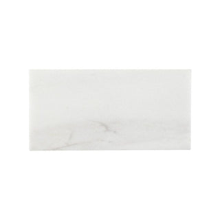 MAJESTIC FIELD 3X6 Tile & Stone by Anthology Tile