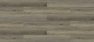 Mallard spc by Paradigm