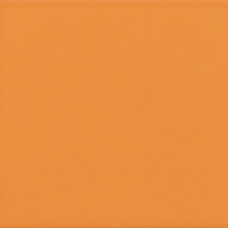 Mandarin Rectangle Tile & Stone by American Olean