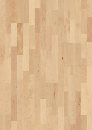 Maple can. Transparent Andante, 14mm 3 - Strip Engineered Hardwood by Boen