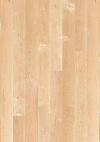 Maple can. Transparent Andante, 14mm Plank 138 Engineered Hardwood by Boen