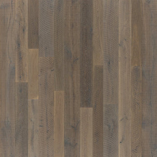 Marigold Oak Engineered Hardwood by Hallmark Floors