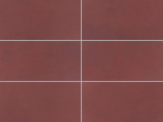 Matte Passion Rectangle Tile & Stone by American Olean