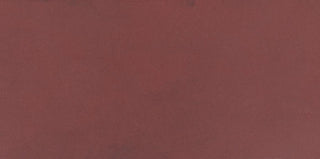 Matte Passion Rectangle Tile & Stone by American Olean