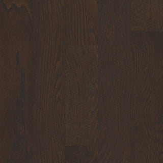 ALBRIGHT OAK 5 - Chocolate