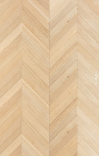 14 MM PRIME - CHEVRON INVISIBLE Engineered Hardwood by Lalegno