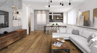 ART-MONET PLUS - Monet