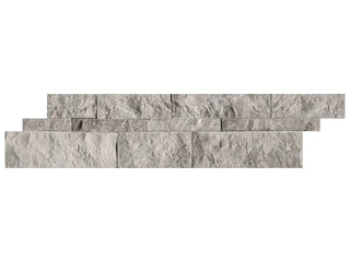 Ritz Gray