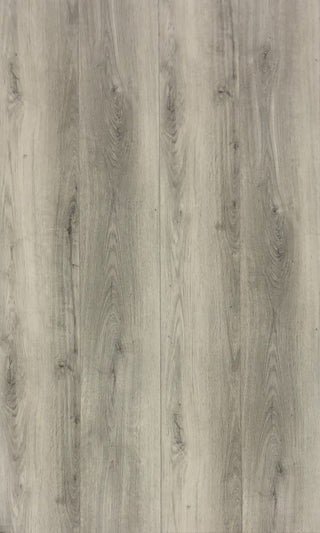 Oyster Gray