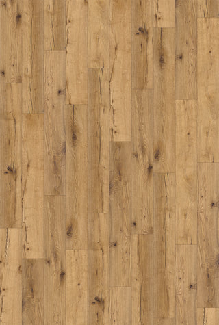 White Oak