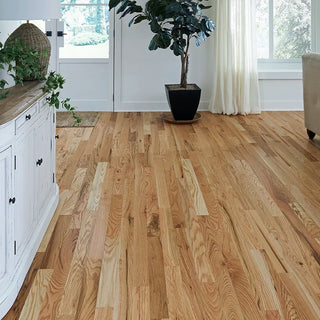 Abingdon Red Oak Natural - Authentic 2 1/4" Hardwood by Impressions Flooring