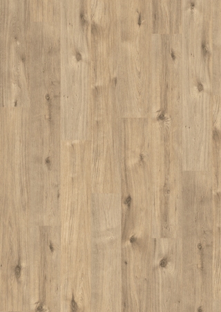 Achensee Oak Laminate by Egger