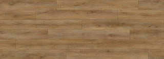 Acropolis spc by Paradigm