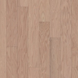 ALBRIGHT OAK 5 - Biscuit Lg Engineered Hardwood by Shaw Floors