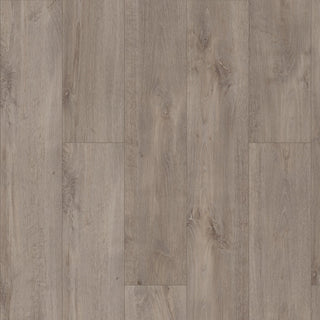 ALLEGIANCE + ACC - Ambassador spc by Shaw Floors