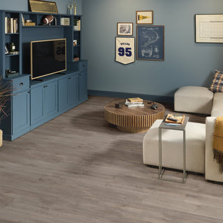 ALLEGIANCE + ACC - Ambassador spc by Shaw Floors