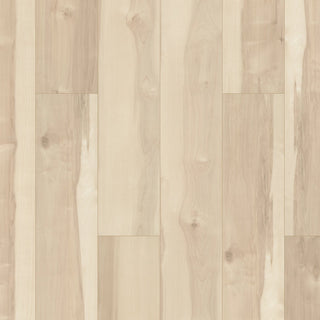 ALLEGIANCE + ACC - Atlas Maple spc by Shaw Floors