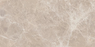 Alpha Matte - Beige Tile & Stone by Stanton