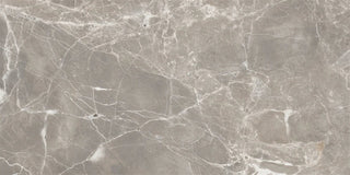Alpha Matte - Greige Tile & Stone by Stanton