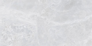 Alpha Polished - Bianco Tile & Stone by Stanton