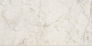 Altissimo Rectangle Tile & Stone by American Olean