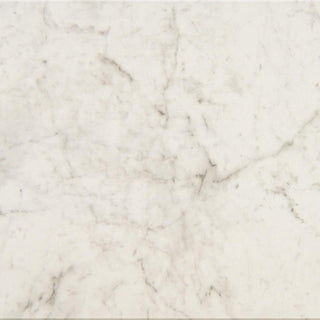 Altissimo Square Tile & Stone by American Olean