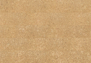 Ambition Tile & Stone by Amorim Wise
