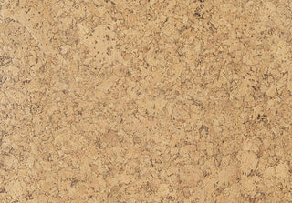 Ambition Tile & Stone by Amorim Wise