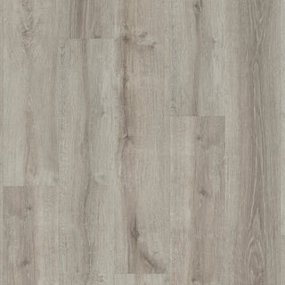 ANVIL PLUS - Beach Oak spc by Shaw Floors