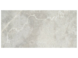 Apollo Argento 12x24 Tile & Stone by Anatolia Tile