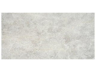 Apollo Argento 18x36 Tile & Stone by Anatolia Tile