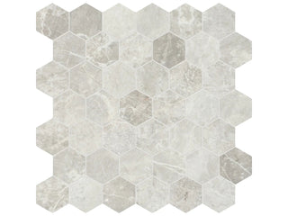 Apollo Argento Hexagon 2" Tile & Stone by Anatolia Tile