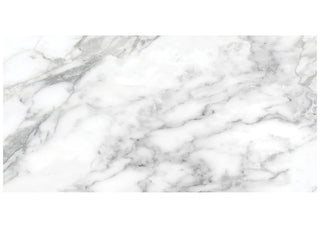Arabescato 12x24 Polished Tile & Stone by Anatolia Tile