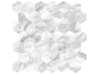 Arabescato 2" Hexagon Honed Tile & Stone by Anatolia Tile