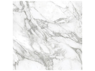 Arabescato 24x24 Polished Tile & Stone by Anatolia Tile