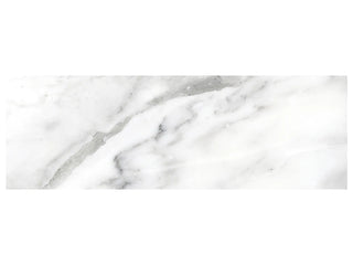 Arabescato 4x12 Polished Tile & Stone by Anatolia Tile