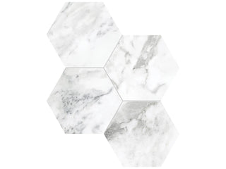 Arabescato 6" Hexagon Polished Tile & Stone by Anatolia Tile