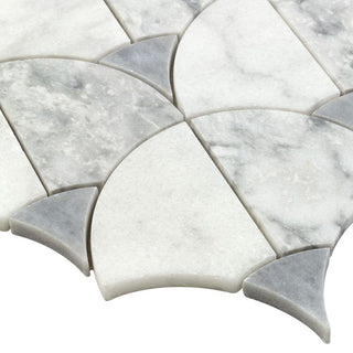 ARABIAN FAN Tile & Stone by Anthology Tile