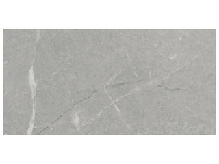 Argento 12x24 Tile & Stone by Anatolia Tile