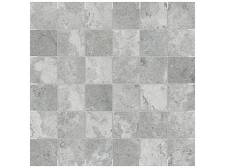 Argento 2x2 Tile & Stone by Anatolia Tile
