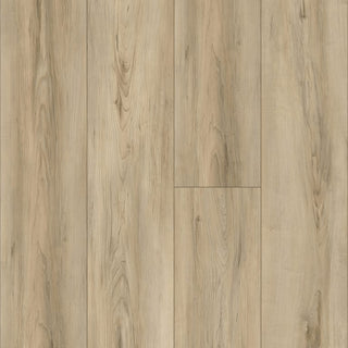 Artissimo Terrain spc by Kraus
