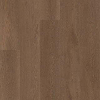 ASCENT NB - Legend Vinyl by Shaw Floors
