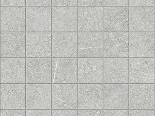 Ash 2x2 Tile & Stone by Anatolia Tile