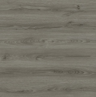 Ash Grey Waterproof Laminate by Republic